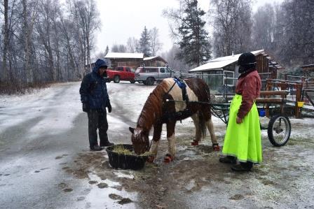 Sarah and Pete ready Hrimmi to drive